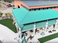 Screen shot 2019-07-28 at 9.26.14 PM